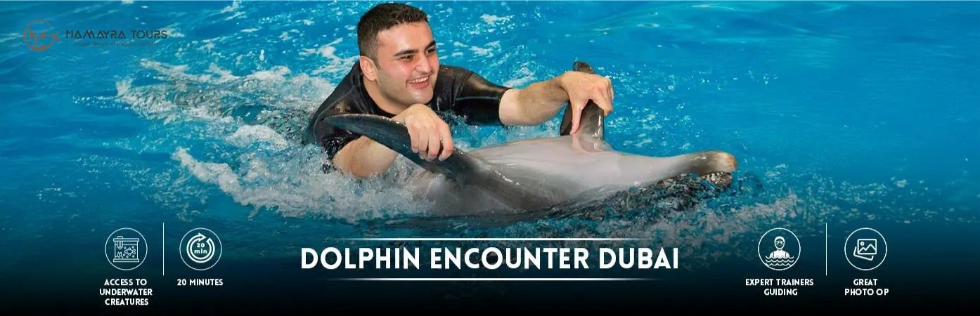 Dolphin Encounter Dubai Tickets