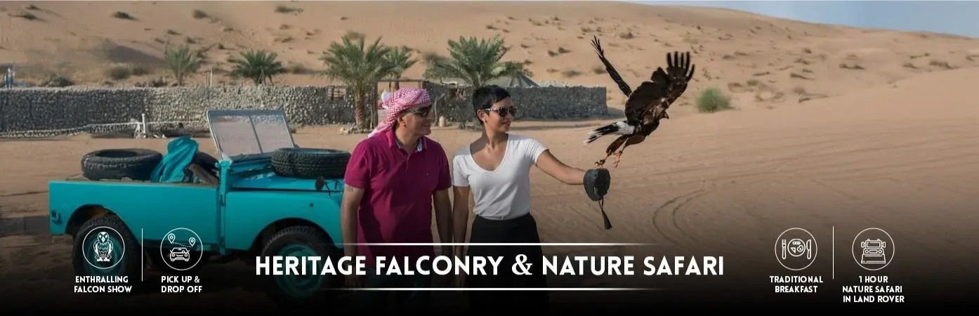 Best Dubai Falconry Training