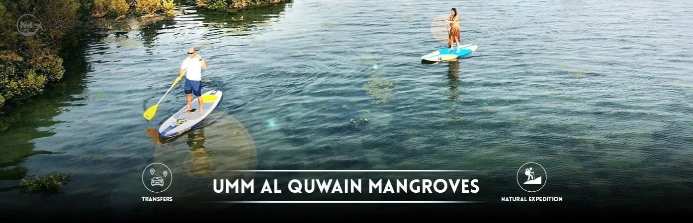 Mangroves Tour – Umm Al Quwain